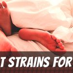 best-strains-for-sex