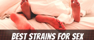 best-strains-for-sex