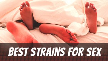 best-strains-for-sex