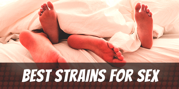 best-strains-for-sex