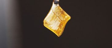how-to-make-rosin-dabs