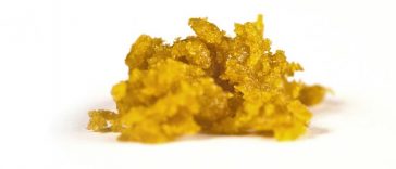 what-are-live-resin-cannabis-concentrates?