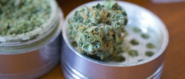 5-tips-for-beginners-on-how-to-use-an-herb-grinder