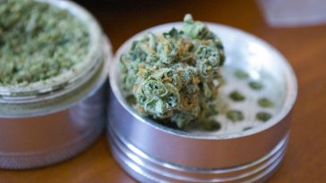 5-tips-for-beginners-on-how-to-use-an-herb-grinder