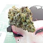 best-cannabis-subscription-boxes