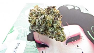 best-cannabis-subscription-boxes