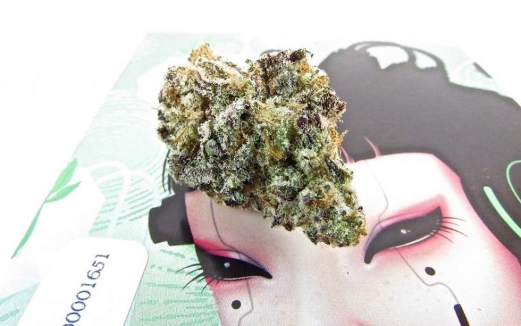 best-cannabis-subscription-boxes