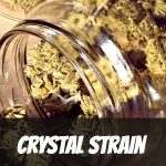 crystal-strain-review