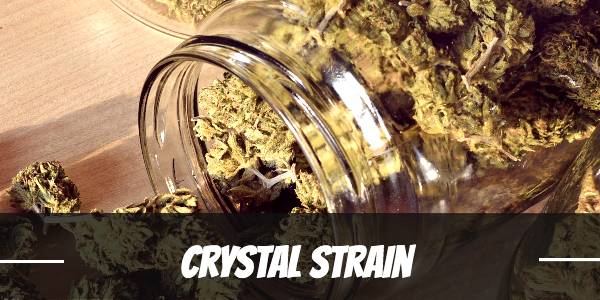 crystal-strain-review
