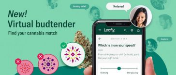 find-the-perfect-cannabis-strain-for-you-with-leafly’s-virtual-budtender