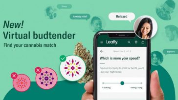 find-the-perfect-cannabis-strain-for-you-with-leafly’s-virtual-budtender
