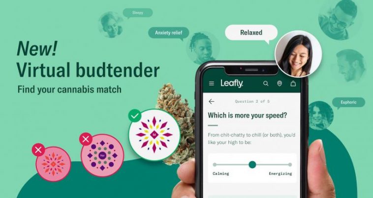 find-the-perfect-cannabis-strain-for-you-with-leafly’s-virtual-budtender