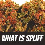 what-is-spliff