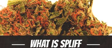 what-is-spliff