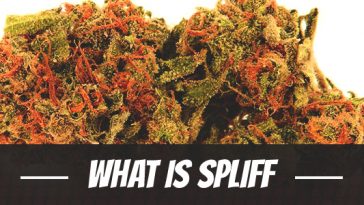 what-is-spliff