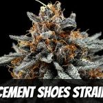 cement-shoes-strain