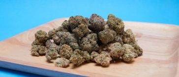 8-of-the-best-kush-strains