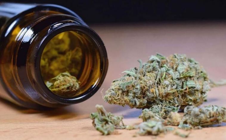 cbd cannabis flower