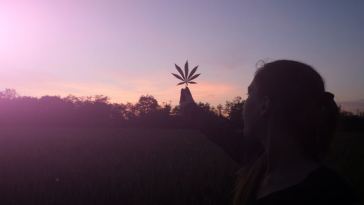 cannabis self-care