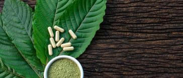 kratom for beginners