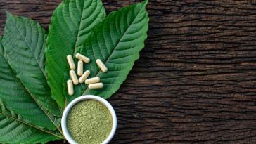 kratom for beginners