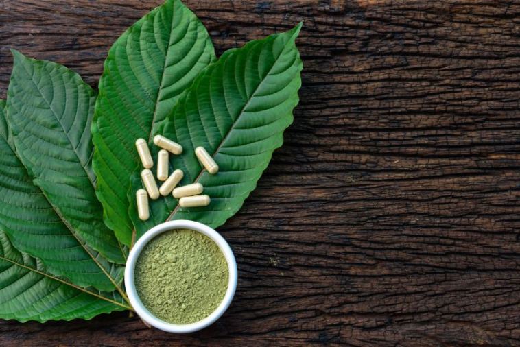 kratom for beginners