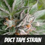 duct-tape-strain