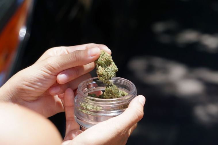 cannabis in jar
