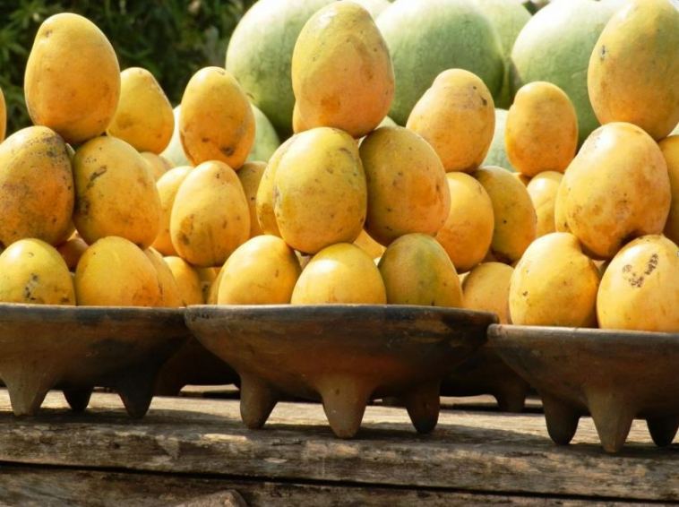 mangoes
