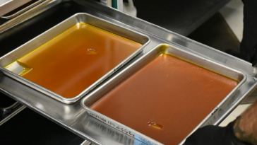 cannabis concentrates