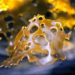 shatter