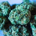 cannabis nugs delta 8