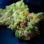 cannabis Moon Rocks