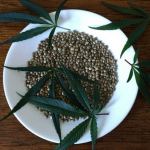 marijuana seeds