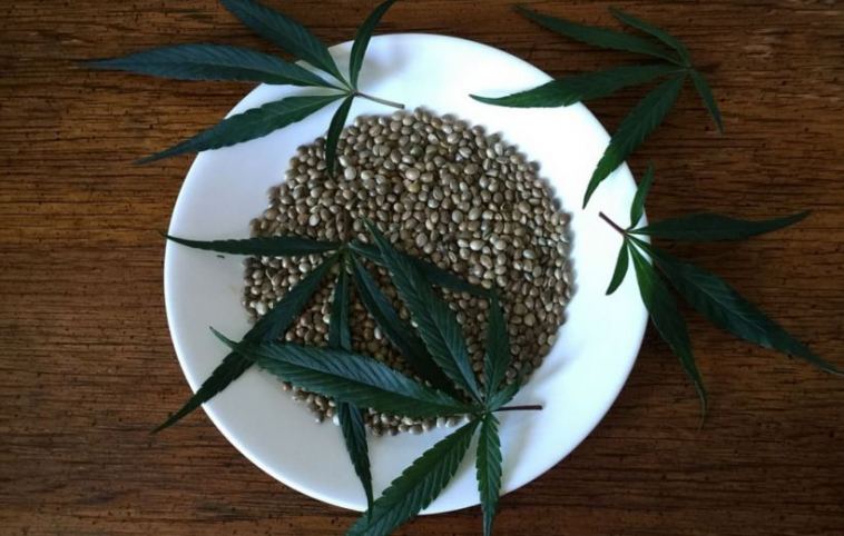 marijuana seeds