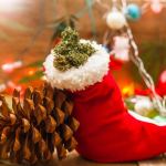cannabis gift ideas