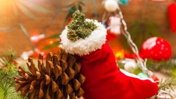 cannabis gift ideas