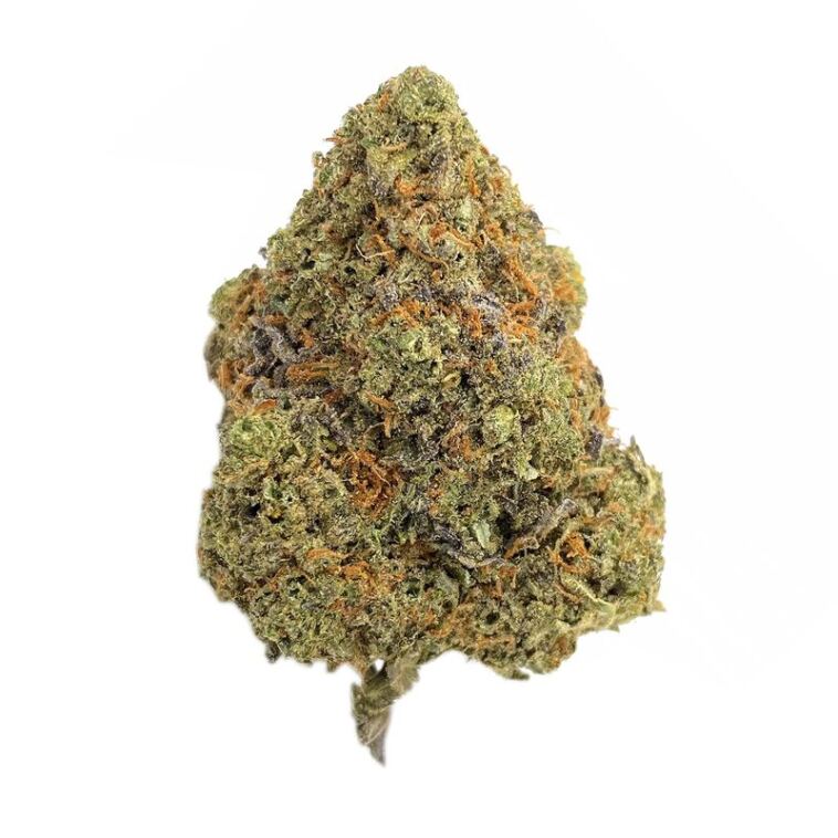 Black Cherry Gelato Strain Review: A Ridiculously Comprehensive Guide ...