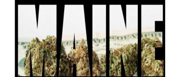 marijuana in maine