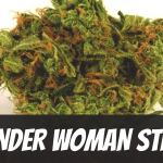 wonder-woman-strain