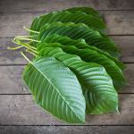 kratom