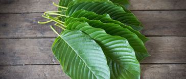 kratom