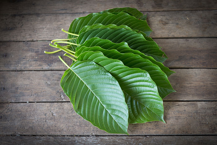 kratom