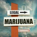 marijuana dispensary