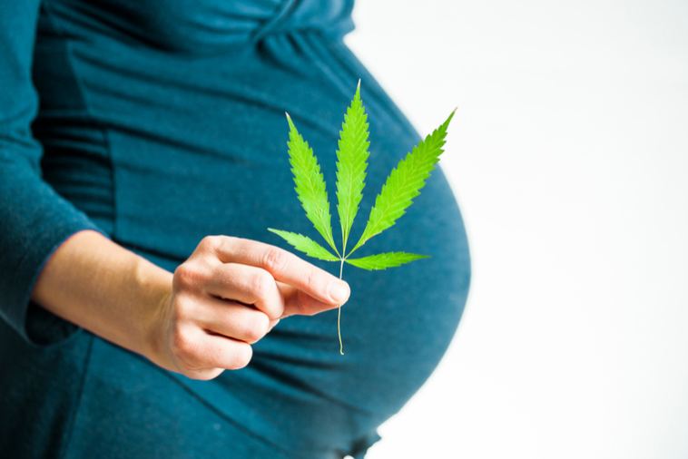 pregnant marijuana
