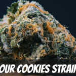 sour-cookies-strain-review