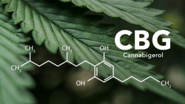 benefits of cbg