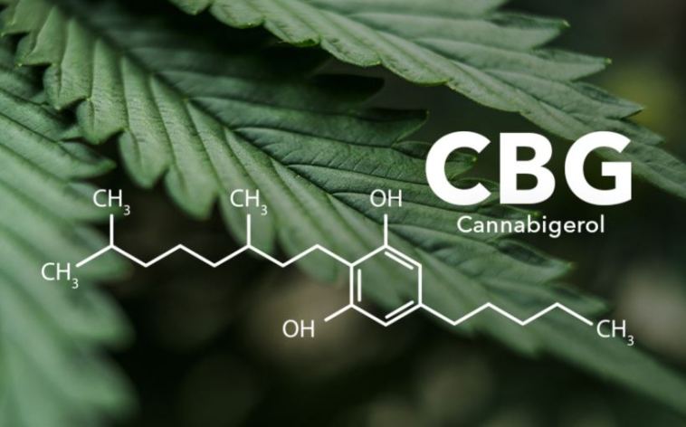 benefits of cbg