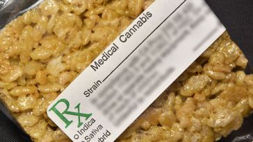 cbd rice crispy treats