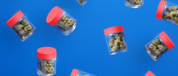 where-did-runtz-strains-come-from?